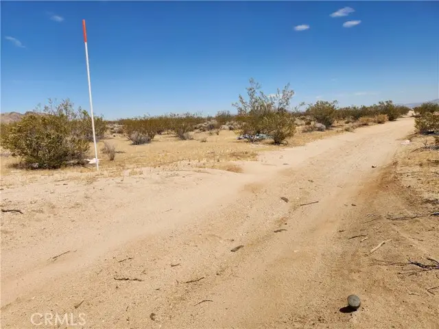 40 Joshua Tree, Joshua Tree, CA 92252 - #2