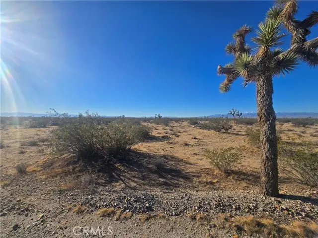 11955 Coronado Avenue, Adelanto, CA 92301 - #2