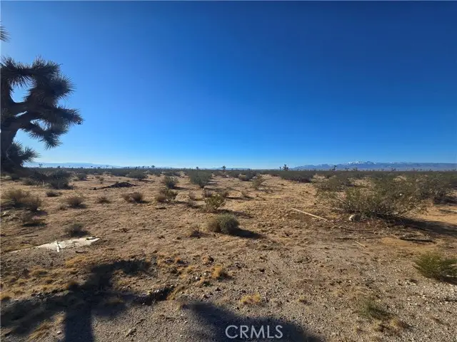 11955 Coronado Avenue, Adelanto, CA 92301 - #3