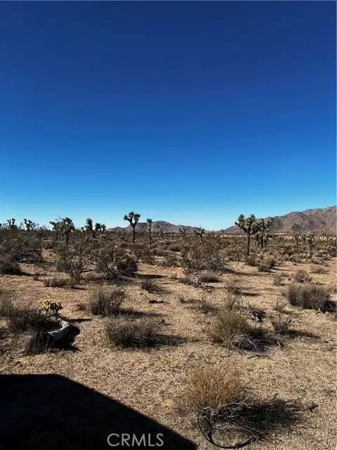 0 Canyon View Road, Lucerne Valley, CA 92356 - #3
