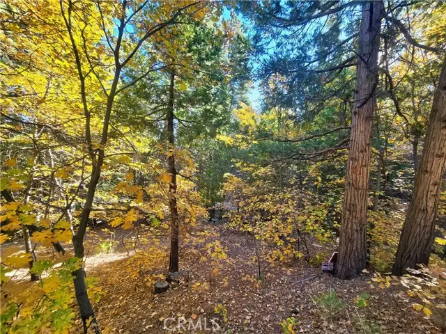 0 Brentwood Drive, Lake Arrowhead, CA 92352 - #1