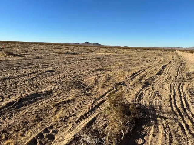 29106 Vancouver Avenue, Helendale, CA 92342 - #1