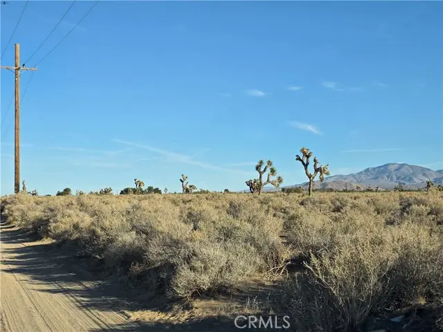 800 Desert View Road, Lucerne Valley, CA 92356 - #2