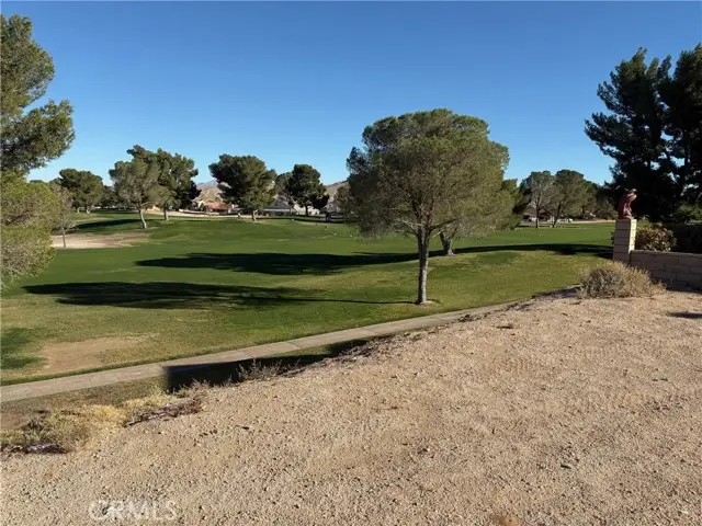 27449 Lakeview, Helendale, CA 92342 - #1