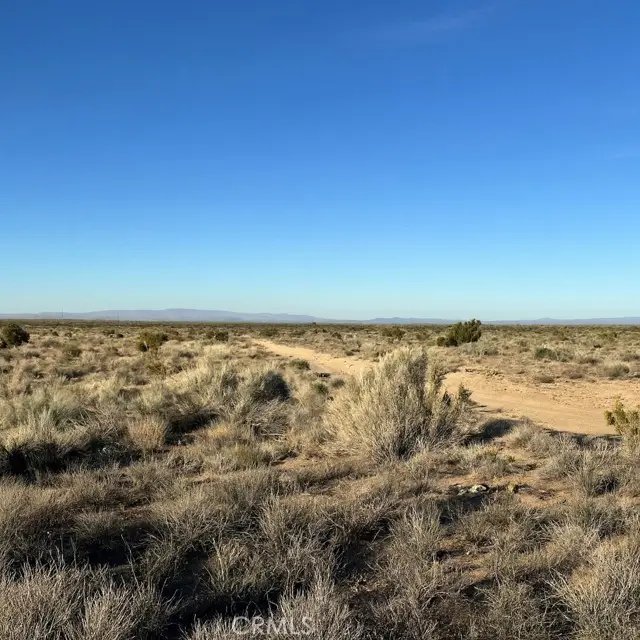 0 Centola, Phelan, CA 92371 - #2