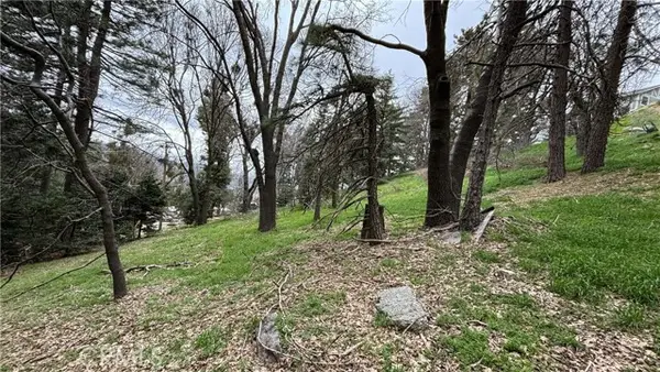 757 Scenic View Drive, Crestline, CA 92325