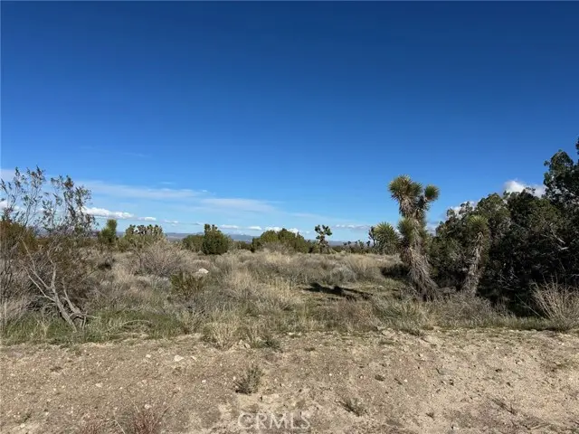 0 Fort Tejon-puzzle canyon, Llano, CA 93544 - #3