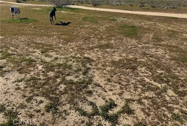 0 0, Hinkley, CA 92347