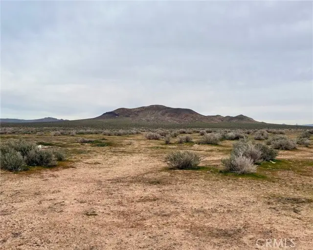 39025 Hervey Road, Hinkley, CA 92347 - #3