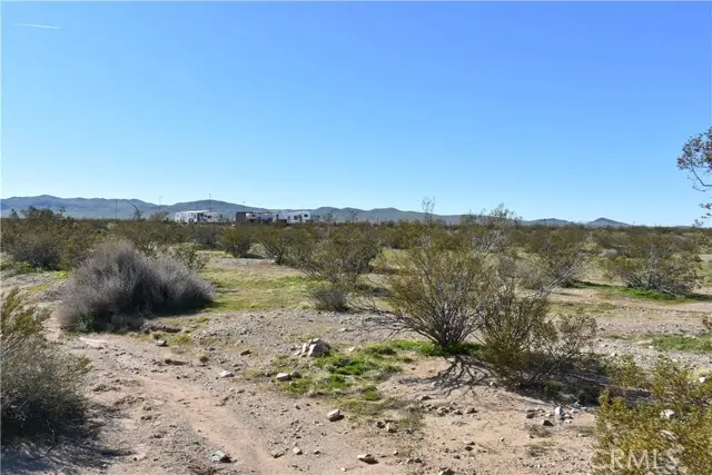 25 Frontier, Helendale, CA 92342 - #3