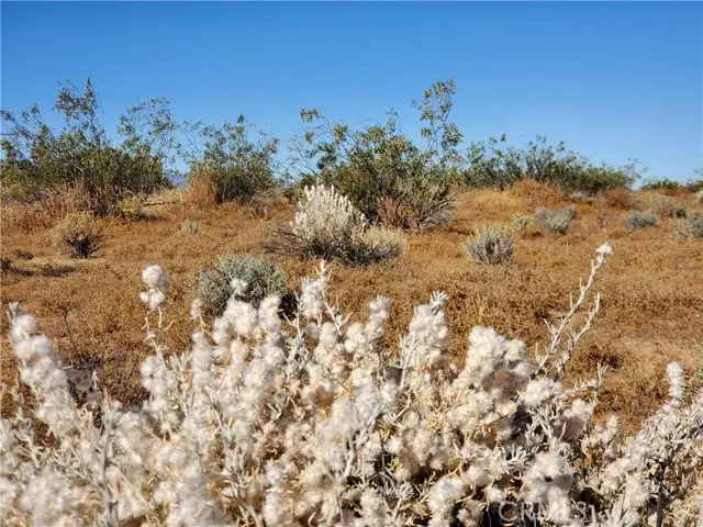 2 Ave L12, Lancaster, CA 93535 - Image #2