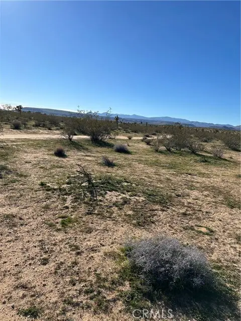 326 Surrey, Landers, CA 92285