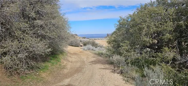 8243 Simson Rd, Pinon Hills, CA 92372 - #3