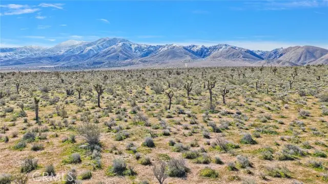 0 Joshua, Apple Valley, CA 92308 - #3