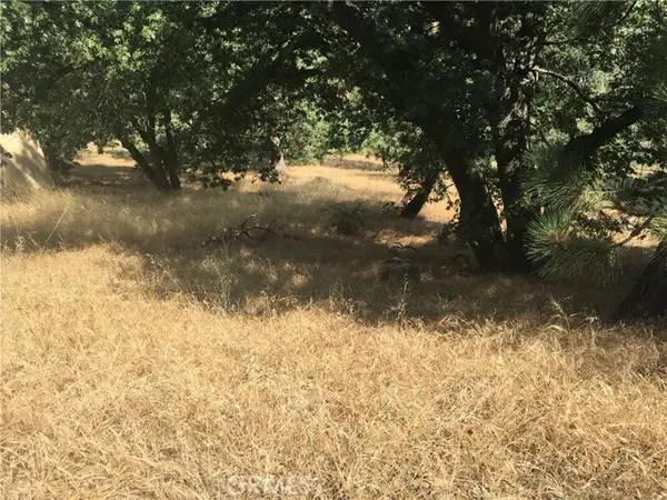 30481 Live Oak, Running Springs, CA 92382