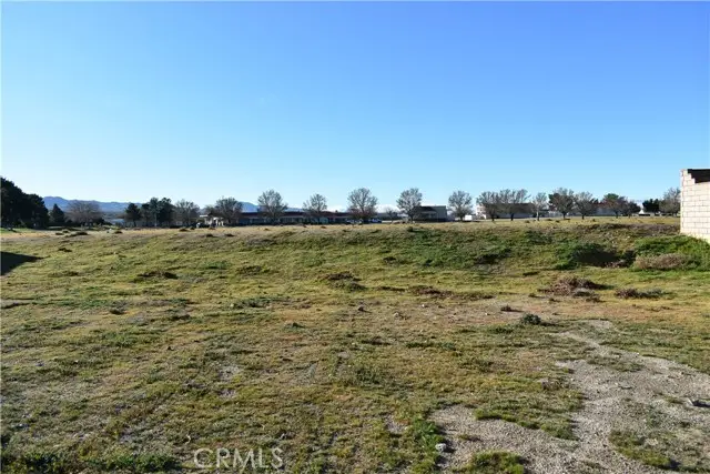 27237 Peach Tree Lane, Helendale, CA 92342 - #2