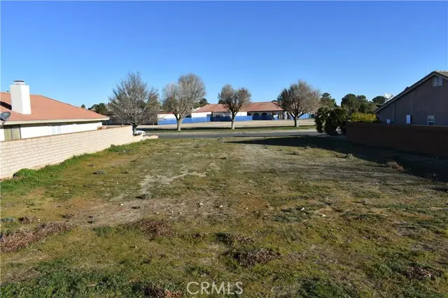 27237 Peach Tree Lane, Helendale, CA 92342 - #3