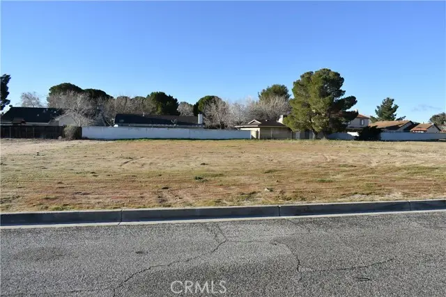 14817 Crofton Lane, Helendale, CA 92342 - #3