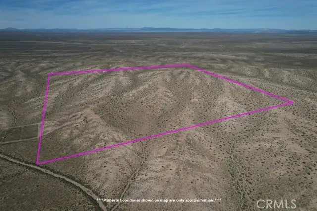 160 Near Buckthorn Canyon Road, Helendale, CA 92342 - #1