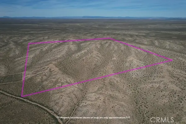 160 Near Buckthorn Canyon Road, Helendale, CA 92342