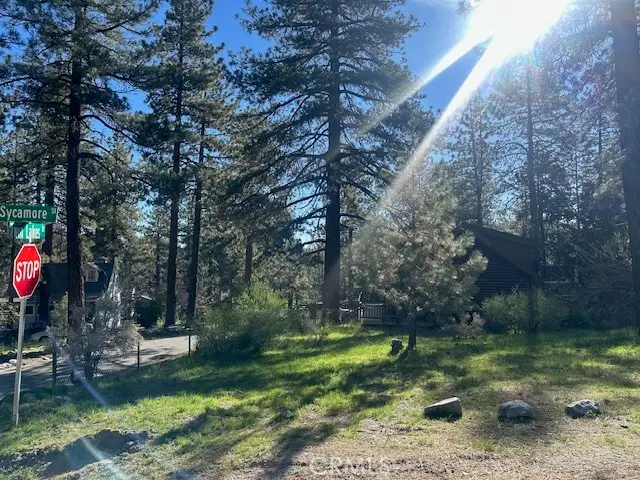 0 Twin Lakes, Wrightwood, CA 92397 - #1