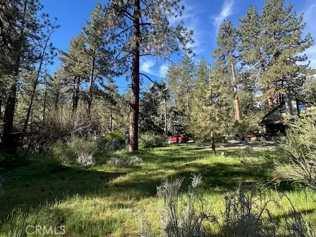 0 Twin Lakes, Wrightwood, CA 92397 - #3