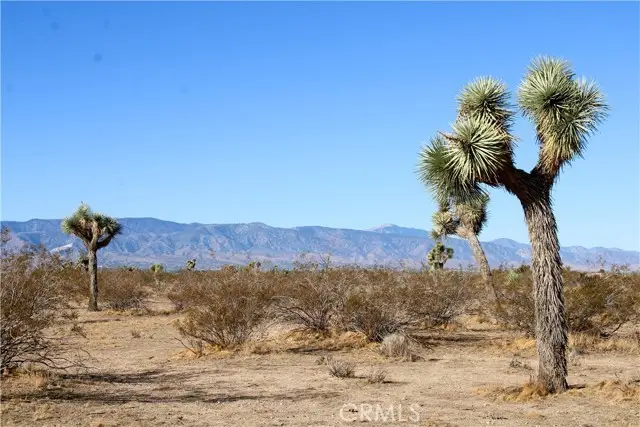 11 Sacramento Road, Phelan, CA 92371 - #3