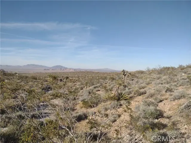 15 Camp Rock, Lucerne Valley, CA 92356 - #1