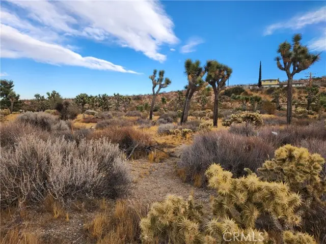 164 Joshua Lane, Yucca Valley, CA 92284 - #2