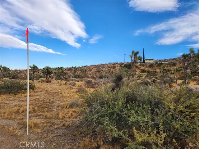 164 Joshua Lane, Yucca Valley, CA 92284 - #3