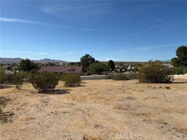 26660 Lakeview, Helendale, CA 92342 - #3