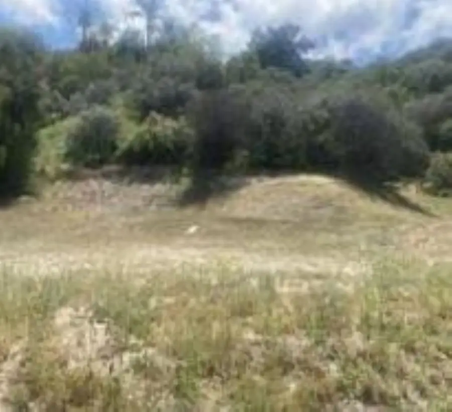 0 Mint Canyon #1, Santa Clarita, CA 91350 - #2