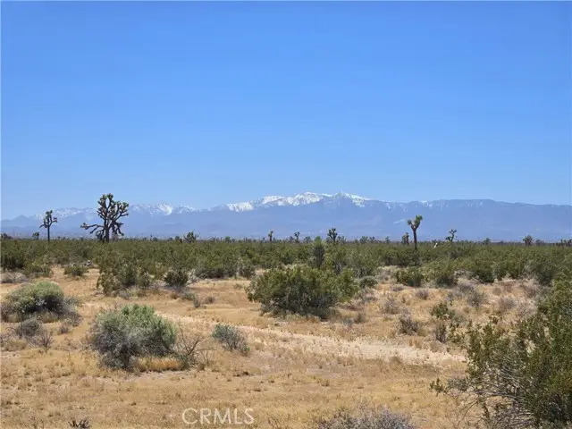 10 Beaver Avenue, Adelanto, CA 92301 - #1