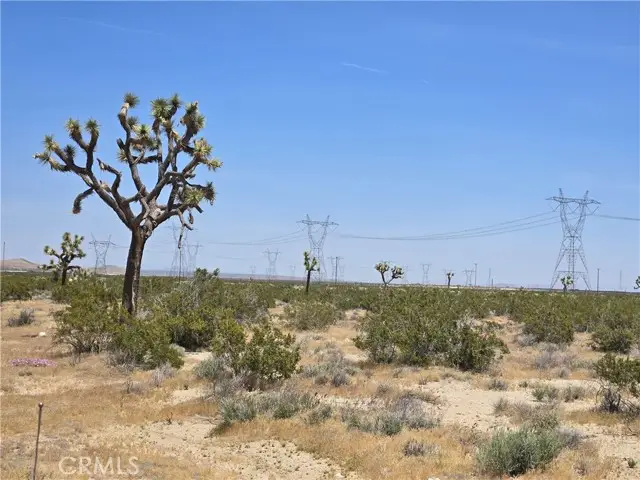 10 Beaver Avenue, Adelanto, CA 92301 - #2