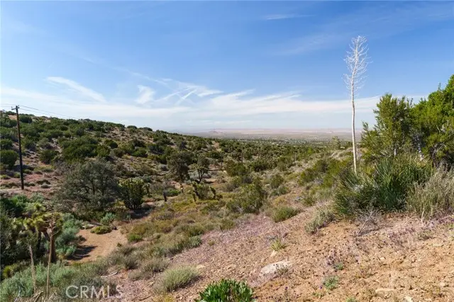 0 Silver Rock, Pinon Hills, CA 92372 - #3