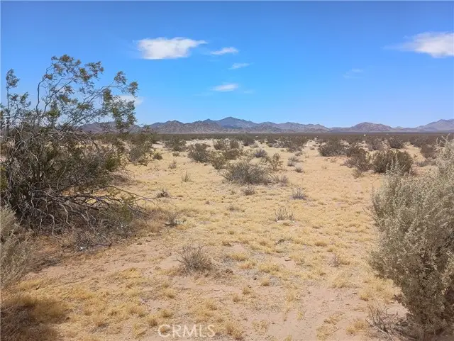 5 North Side, Lucerne Valley, CA 92356 - #3
