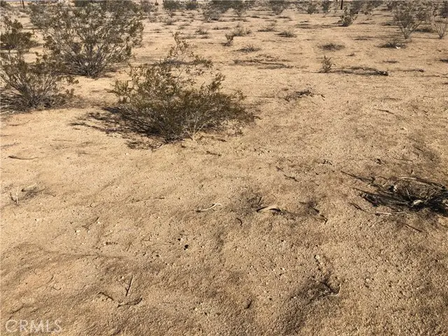 0 Mitchell Blvd, California City, CA 93505 - #3