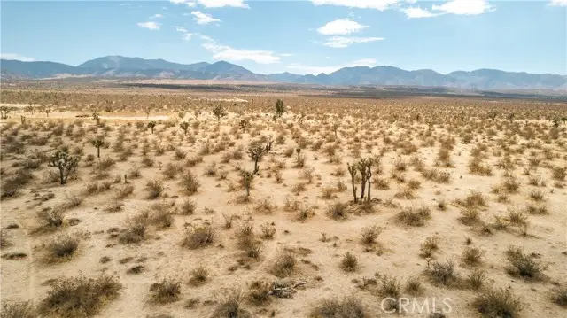 186 Ste/Vic, Llano, CA 93591 - #1