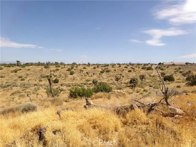 0 Phelan Road, Phelan, CA 92371 - #2