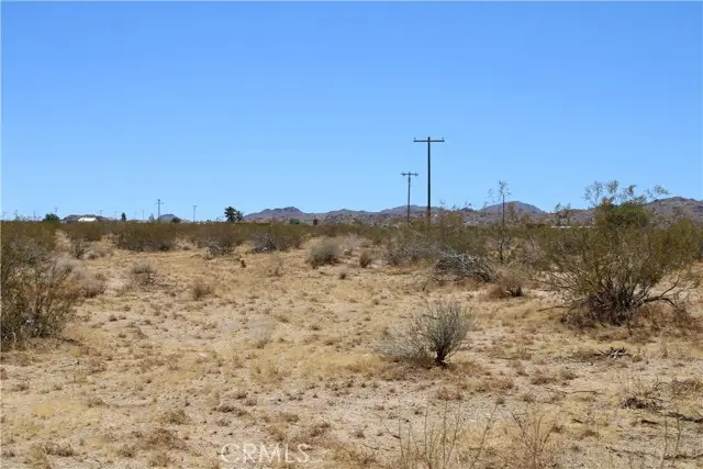 5 Joshua Tree, Landers, CA 92285 - #1
