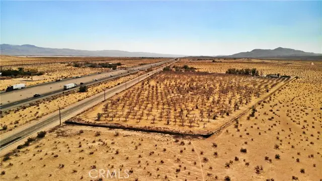 45534 Hacienda Road, Yermo, CA 92398 - #3