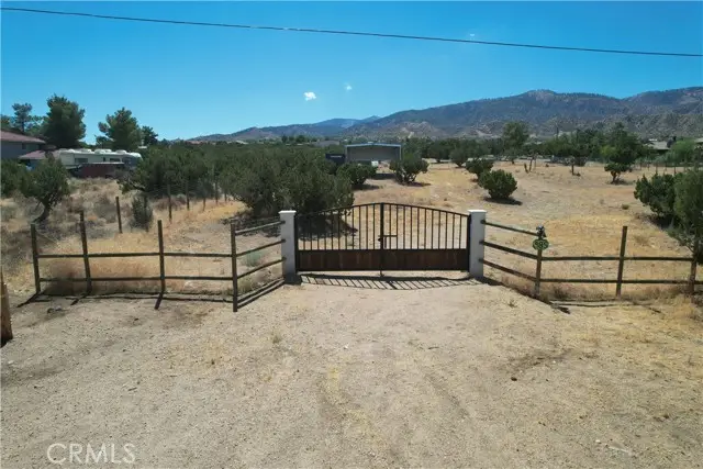 985 Cholla Road, Pinon Hills, CA 92372 - #1