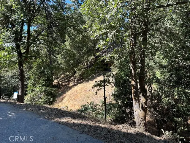 24960 Saxon Drive, Crestline, CA 92325 - #1