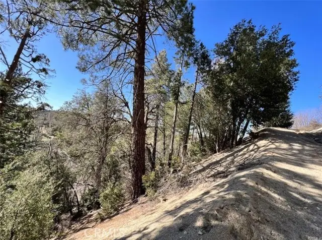 0 Coulter, Cedar Glen, CA 92321 - #2