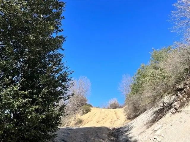 0 Coulter, Cedar Glen, CA 92321 - #3