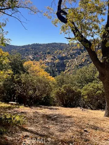 0 Grass Valley Road, Lake Arrowhead, CA 92352