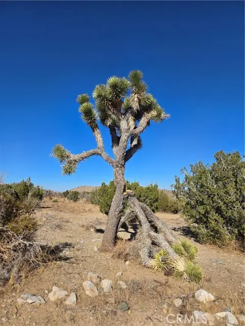 0 Murphys Lane, Littlerock, CA 93543 - #1