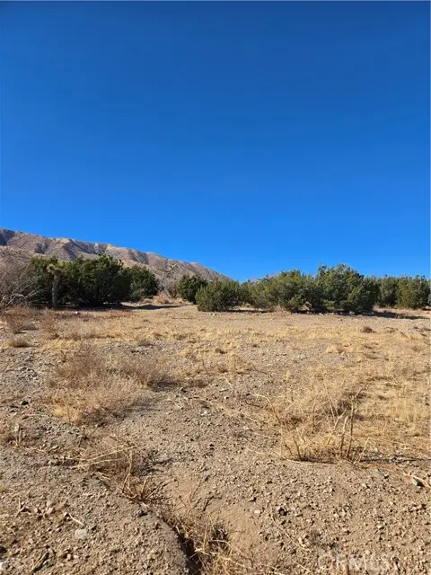 0 Murphys Lane, Littlerock, CA 93543 - #2