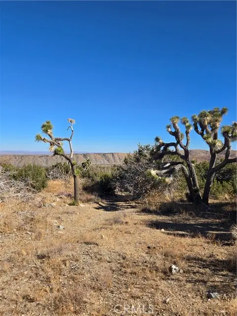 0 Murphys Lane, Littlerock, CA 93543 - #3