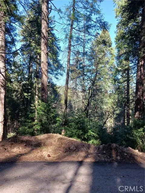 35 Spring Drive, Cedarpines Park, CA 92322 - Image #1